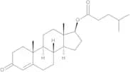 Testosterone Isocaproate