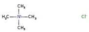 Tetramethylammonium chloride, 98+%