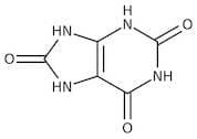 Uric acid, +99%