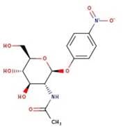 4-Nitrophenyl-2-acetamido-2-deoxy-β-D-glucopyranoside, 99%