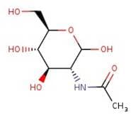 2-Acetamido-2-deoxy-D-glucopyranose, 98%