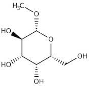 Methyl-β-D-galactopyranoside, 98%