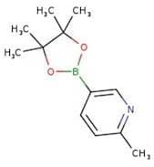 6-Methylpyridine-3-boronic acid pinacol ester, 95%