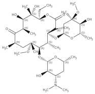 Clarithromycin, 97%
