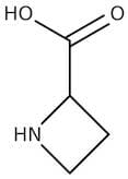 Azetidine-2-carboxylic acid