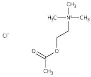 Acetylcholine Chloride, 99%