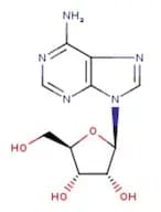 Adenosine, 99+%
