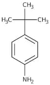 4-tert-Butylaniline, 99%