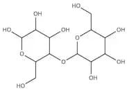 Starch, for biochemistry, potato, hydrolyzed for electrophoresis