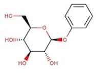 Phenyl β-D-glucopyranoside hydrate, 98%