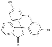 Fluorescein, Laser Grade 99%