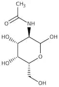 N-Acetyl-D-galactosamine, 98%