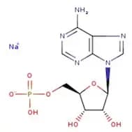 Adenosine 5'-monophosphate sodium salt hydrate, 98+%