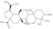 Betulinic acid