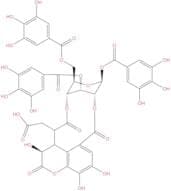Chebulinic acid