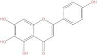 Scutellarein