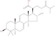 Dehydrotumulosic acid