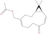 Kissoone C