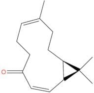 Kissoone A