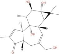 4-Deoxyphorbol