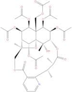 Euonymine