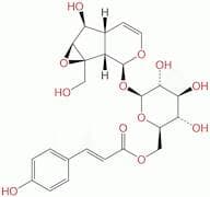 Picroside IV