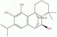 Isorosmanol