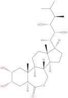 24-epi-Brassinolide