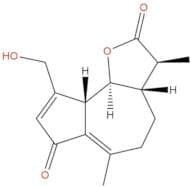 Jacquinelin