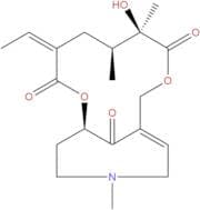 Senkirkine