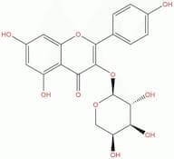 Juglalin
