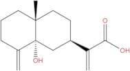 5α-Hydroxycostic acid