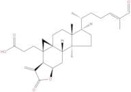 Coronalolide
