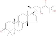 Piscidinol A