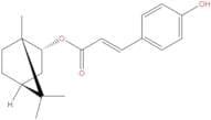 Biondinin C