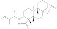 ent-3β-Tigloyloxykaur-16-en-19-oic acid