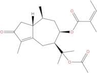 Torilin