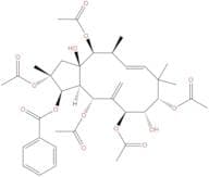 Jatrophane 6