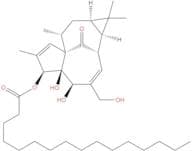Ingenol 3-palmitate