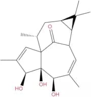 20-deoxyingenol