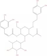 2'-Acetylacteoside