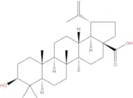Betulinic acid