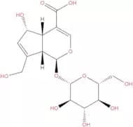 Deacetylasperulosidic acid