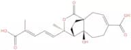 Demethylpseudolaric acid C