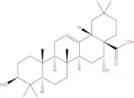 Echinocystic acid