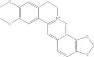 Epiberberine