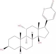 Gamabufotalin