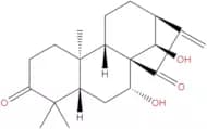 glaucocalyxin A