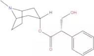 Hyoscyamine