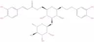 Isoacteoside